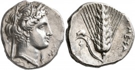 LUCANIA. Metapontion. Circa 340-330 BC. Didrachm or Nomos (Silver, 20 mm, 7.81 g, 2 h). Head of Demeter to right, wearing wreath of grain ears, pendan...