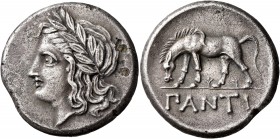 CIMMERIAN BOSPOROS. Pantikapaion. Circa 355-340 BC. Tetradrachm (Silver, 27 mm, 15.48 g, 12 h). Laureate head of Apollo to left. Rev. ΠANTI Horse graz...
