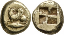 MYSIA. Kyzikos. Circa 500-450 BC. Stater (Electrum, 20 mm, 16.11 g). Winged dog squatting left, head to right, on tunny swimming left. Rev. Quadripart...