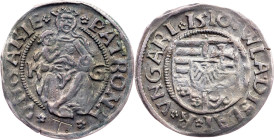 Vladislav II. Jagellonsky, Denar 1510, K-G