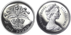 Great Britain, Elizabeth II , 1 Pound, 1984, London, Scottish Thistle. Piedfort. Mintage: 15.000 pcs. Ag.925 19,00 g, Contact traces, KM P4, PROOF