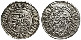 Hungary, Wladislaw II , Denar, 1512, Kremnitz, K-G. Ag. 0,55 g, Huszár 812, XF