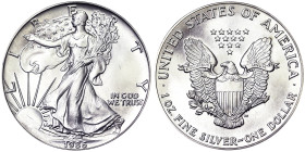 United States, 1 Dollar, 1986, Phildelphia, Ag.999 1 Oncia / 1 Oz.R, KM 273, UNC