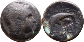 Antiochos III The Great (Seleukid King: 223-187 BC). AE bronze. Obv.: Laureate head of Apollo Rev.: Elephant standing