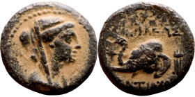 Antiochus IV Epiphanes (Seleukid King: 175-172 BC). AE bronze. Obv.: Veiled, diademed bust of Laodice IV right Rev.: Elephant head left, to r. Tripod