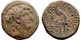 Antiochos (VIII)

19mm 6.49g