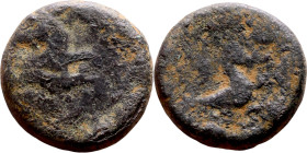 Hellenistic period coin (4-1 century BC) bronze coin.