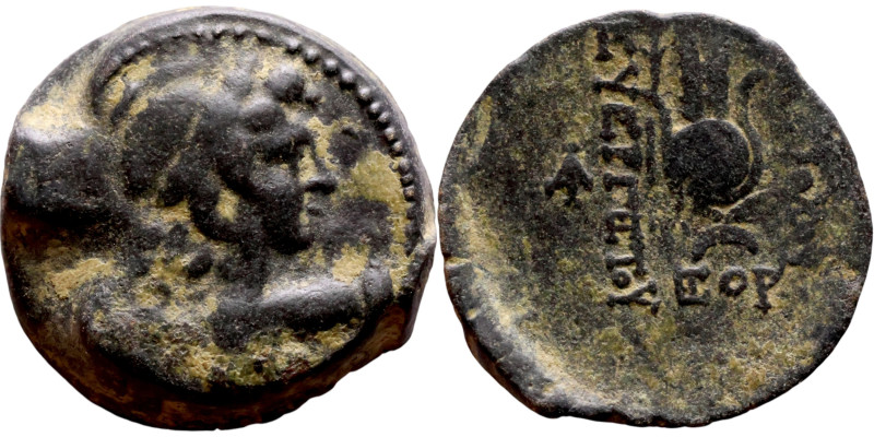 Antiochos VII (Seleukid King: 138-129 BC). AE bronze. Obv.: Bust of winged Eros ...