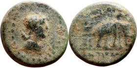 Antiochos III The Great (Seleukid King: 223-187 BC). AE bronze. Obv.: Laureate head of Apollo Rev.: Elephant standing