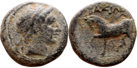 Seleukos II Kalinikos (Seleukid King: 246 - 226 BC) AE bronze. Obv Obv.: : Diademed head of Seleucus II right Reverse: Horse trotting left