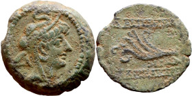Antiochus IX Cyzicenus (Seleukid King: 114-95 BC). AE bronze. Obv.: Bearded head of King right in elephant skin headdress. Obv: Palm