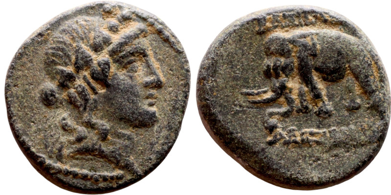 Antiochos III The Great (Seleukid King: 223-187 BC). AE bronze. Obv.: Laureate h...