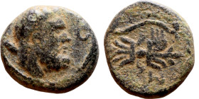 Antiochus IX Cyzicenus (Seleukid King: 114-95 BC). AE bronze. Obv.: diademed head of Antiochus right. Rev.: Titles to right and left of winged thunder...