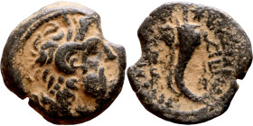 Antiochus IX Cyzicenus (Seleukid King: 114-95 BC). AE bronze. Obv.: diademed head of Antiochus right. Rev.: Cornucopia