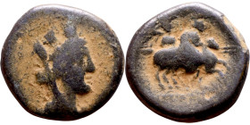 Hellenistic period coin (4-1 century BC) bronze coin. Obv: Bust of Tyche. Rev: Two galloping horses