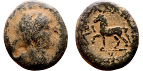 Hellenistic period coin (4-1 century BC) bronze coin. Obv: Bust of Apollo. Rev: Standing horse