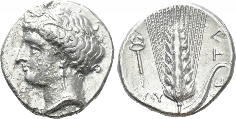 LUCANIA. Metapontion. Nomos (Circa 340-330 BC). 

Obv: Head of Demeter left, w...