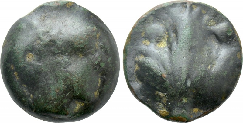 SICILY. Selinos. Cast Ae Dionkion (Circa 450-440 BC). 

Obv: Horned head of ri...