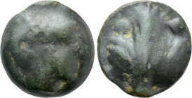 SICILY. Selinos. Cast Ae Dionkion (Circa 450-440 BC).