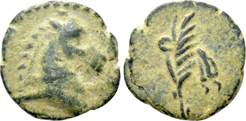 PONTOS. Uncertain. Ae (Circa 130-100 BC). 

Obv: Head of horse right.
Rev: Fi...