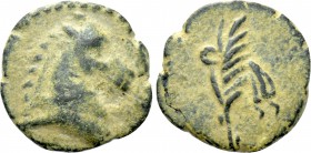 PONTOS. Uncertain. Ae (Circa 130-100 BC).