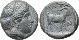 TROAS. Antandros. Drachm (Late 5th century).