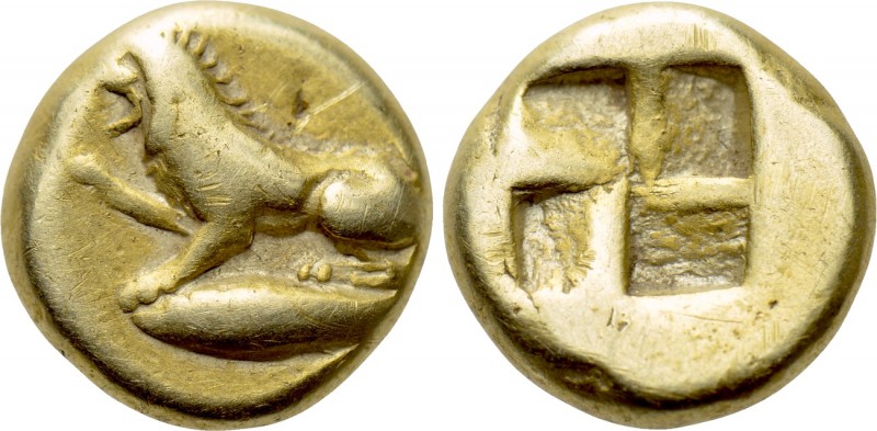 MYSIA. Kyzikos. EL Hekte (Circa 550-450 BC). 

Obv: Lion, raising forepaw, sea...