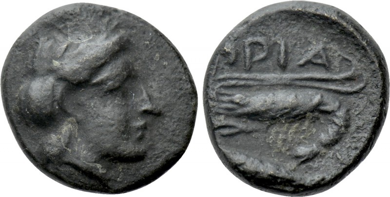MYSIA. Priapos. Ae (4th-3rd centuries BC).

Obv: Laureate head of Apollo right...