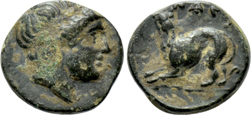 LESBOS. Nesos/Nasos Pordosilene. Ae (3rd-2nd centuries BC). In the name of the N...