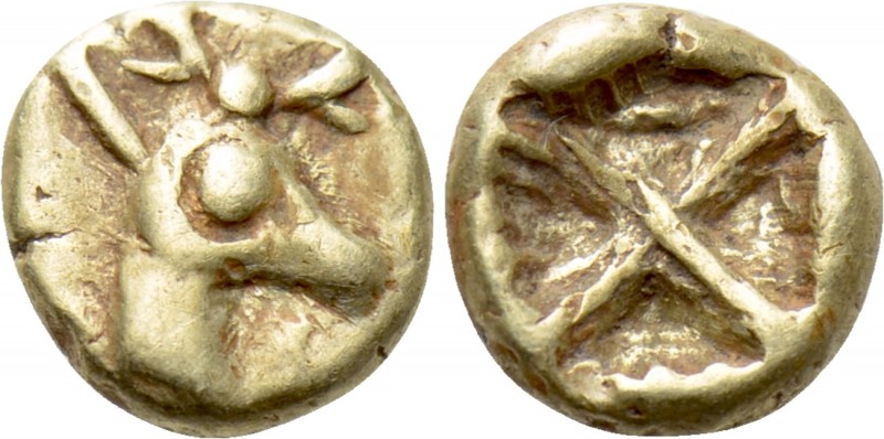 IONIA. Ephesos. Phanes (Circa 625-600 BC). EL 1/48 Stater.

Obv: Head of stag ...