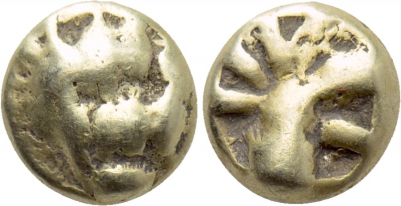CARIA. Mylasa(?) EL 1/24 Stater (Mid 6th century BC). 

Obv: Paw of lion.
Rev...