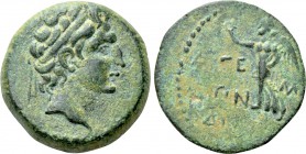CILICIA. Aigeai. Ae (Circa 47/6-27/6 BC). Dated CY 14 (34/3 BC).