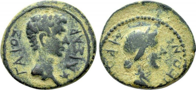CARIA. Aphrodisias. Caligula (37-41). Ae. 

Obv: ΓAIOΣ / KAIΣAP. 
Bare head o...