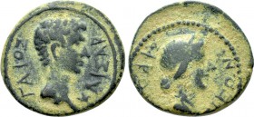 CARIA. Aphrodisias. Caligula (37-41). Ae.