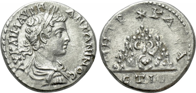 CAPPADOCIA. Caesarea. Caracalla (198-217). Drachm. Dated RY 15 (206/7). 

Obv:...