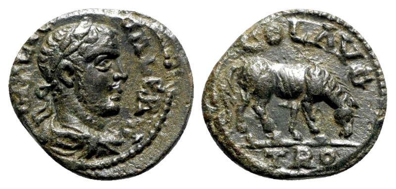 Gallienus (253-268). Troas, Alexandria. Æ (20mm, 3.90g, 6h). Laureate, draped an...