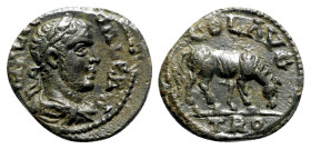 Gallienus (253-268). Troas, Alexandria. Æ (20mm, 3.90g, 6h). Laureate, draped and cuirassed bust r. R/ Horse grazing r. Bellinger A451; SNG Copenhagen...