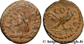 PISIDA - ROMAN PROVINCE
Type : Unité 
Date : c. 138-192 
Mint name / Town : Antioche, Pisidie 
Metal : copper 
Diameter : 13,5  mm
Orientation dies : ...