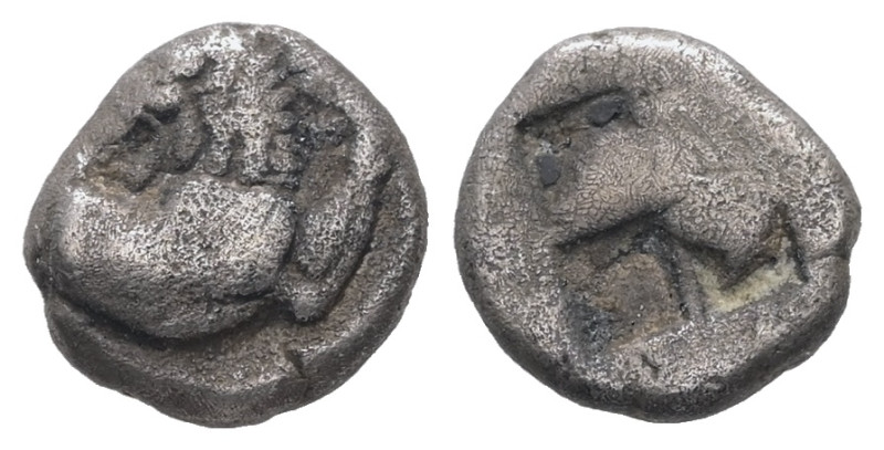 Thrace, Chersonesos. AR Diobol, 1.20 g 9.70 mm. Circa 500 BC.
Obv: Forepart of l...