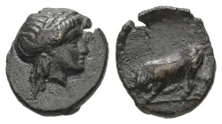 Mysia, Gambrion. Ae, 0.85 g 10.55 mm. 4th century BC.
Obv: Laureate head of Apollo to right.
Rev: Bull butting left.
Ref: SNG Copenhagen 156.
Fine