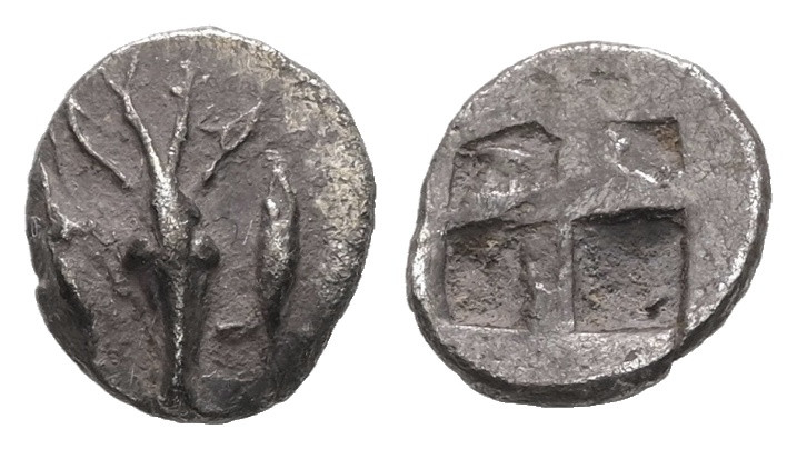 Mysia, Kyzikos. AR Hemiobol, 0.37 g. - 8.48 mm. c. 550-500 BC.
Obv.: Stag's head...