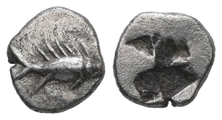 Mysia, Kyzikos. AR Hemiobol, 0.47 g. - 8.73 mm. c. 550-480 BC.
Obv.: Tunny fish ...