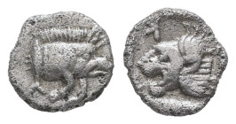 Mysia, Kyzikos. AR Hemiobol, 0.33 g. 4.86 mm. Circa 450-400 BC.
Obv: Forepart of boar right; to left, tunny upward.
Rev: Head of lion left; retrograde...