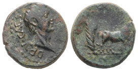 Troas, Alexandria. Drusus as Caesar, AD 19-23. AE. 4.98 g. 17.49 mm.
Obv: DRV CAES; bare head of Drusus, right
Reverse: two priests ploughing, right.
...