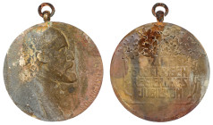 Liechtenstein - AE-Medaille 1908 von L. Hujer, auf das 50jähriges Regierungsjubiläum des Fürsten