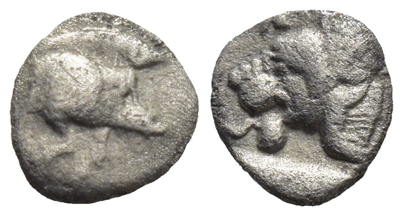 Mysia, Kyzikos. AR Hemiobol. (6mm, 0,2 g). Circa 450-400 BC. Obv: Forepart of bo...