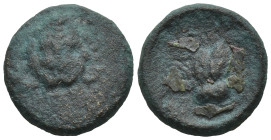 Mysia, Parion 2nd - 1st centuries BC. (2.47 Gr. 13mm.)
Head of Medusa facing slightly to left 
Rev. Owl standing to right on palm branch, head facing.
