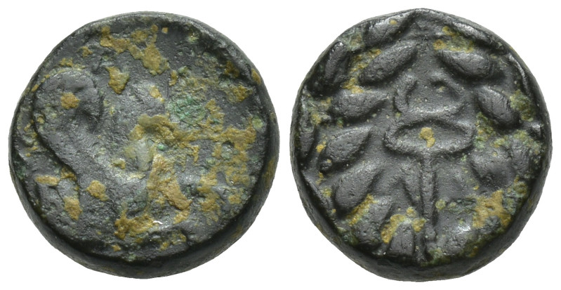Mysia. Lampsakos circa 190-85 BC. AE. (2.12 Gr. 11mm.)
Forepart of Pegasos sprin...
