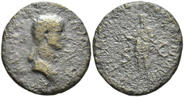 Antonia, daughter of Mark Antony and Octavia, (grandmother of Caligula, mother of Claudius), (died A.D. 37), AE dupondius, issued after her death by C...