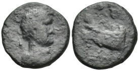 Uncertain Roman Coins (4.9 Gr. 18mm.)